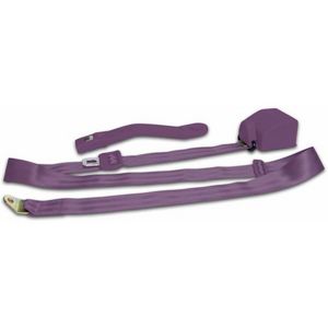 3 Point Retractable Plum Purple Seat Belt (1 Belt) Photo Main