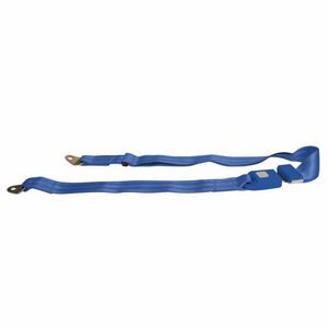 2 Point Electric Blue Lap Seat Belt (1 Belt) Photo Main