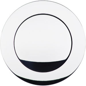 Horn Button Large Plain Polished Photo Main