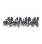 Step Plate Screw Kit (1 kit does 2 step plates)