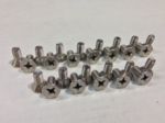 1955-66 Chevrolet Truck Door Panel Screw Set, (does both doors) 26 pcs.