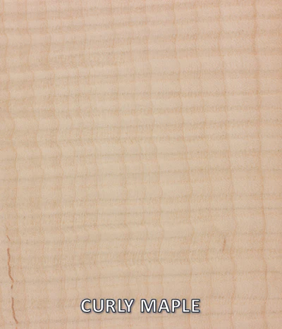 Curly Maple sample