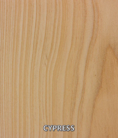 Cypress sample